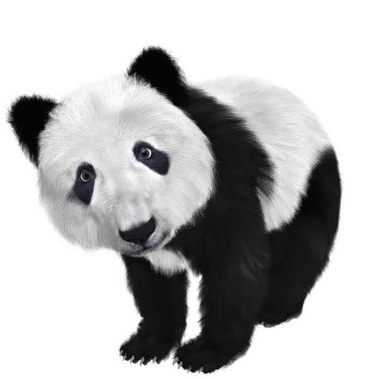 Y翻译工作室 中文